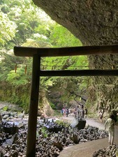 1BFAA65B-E2D7-44F9-93B9-F969402A4B5B