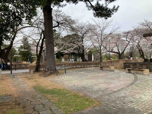 IMG_1740