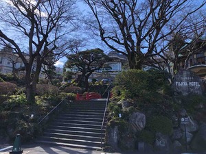 IMG_8925