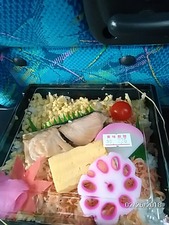 ミステリーツアー夕弁当 鮭と桜エビ実はオキアミ