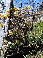 IMG_20160302_130253