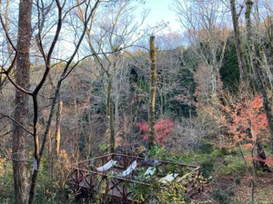 IMG_0273