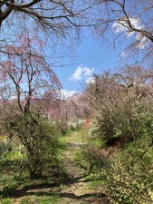 D47F0617-A2DE-4E19-9092-7F6469D797FE