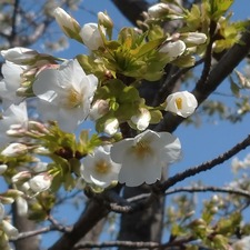 IMG_20210317_112126_180