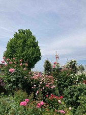 E5F8868E-4BFC-4773-97C1-E7799173CB06