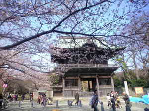 2010年3月30日仁王門