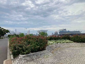 IMG_3465