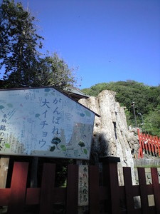 携帯から取込 027