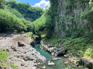 20B1A2A9-EA63-4842-95E1-9DA649974B99