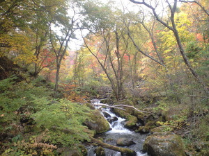 2010年10月17日自然園渓谷