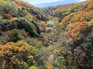 IMG_6034