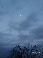 フルーツ公園2