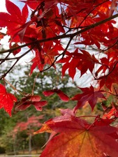 6F1FDD89-ED79-4830-ACC9-9BBBE5669982