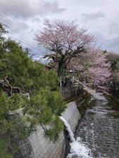IMG_7376