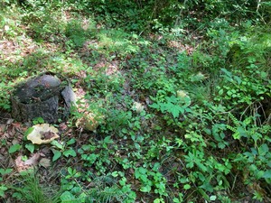 11F20D60-C0B0-4C77-AC12-9BBD15ED95D7