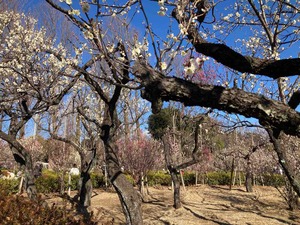 2EC334AC-A62D-4528-8278-6E6AF51BBD0E