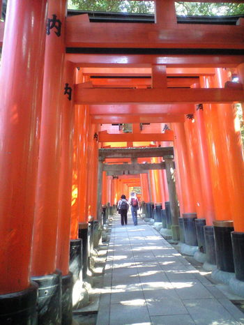 2009年10月23日千本鳥居
