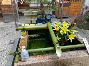 IMG_1271