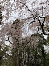 A3C3ADCC-31CD-41FB-BB99-7AE8DEBDF4D7