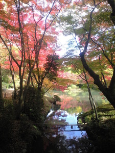 2010年11月17日府立植物園