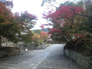2010年11月15日金戒光明寺脇道