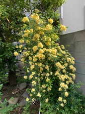 4099101F-172F-47C4-A8DE-D12A3FF55A0D