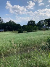 EF905A3C-C61D-4B68-A35D-8ED847B7E2B2