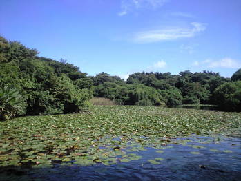 2009年9月25日JFEの池