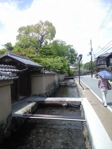 2010年5月18日上賀茂神社社家