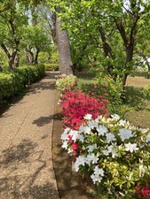 1E8081D6-B089-4001-91B9-50DDAFB017BF