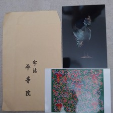 IMG_20201008_183941_245