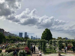 62953764-D8BE-46AB-9BA8-58205F3B1AB4