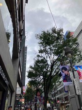 7BFA5E30-FA9D-44A7-9CA5-270F46928C51