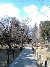 2018-2-26恵林寺4