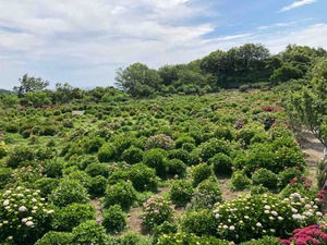 7850EDBC-ACEB-4A21-8D3D-7D8B1140D966