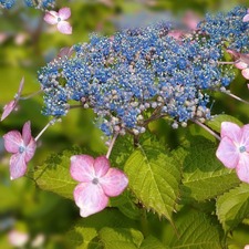 IMG_20200604_141516_352