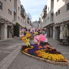 IMG_20210422_165147_924