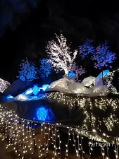 2017-12-14���֤���ƶ�����նᥤ��ߥ͡������