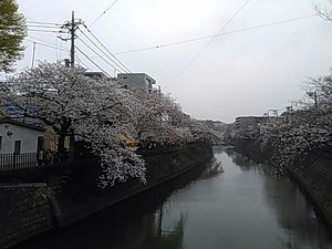 IMG_20180327_134744