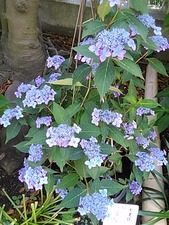 IMG_20170603_111956