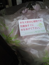 携帯から取込 009