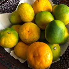 IMG_5080
