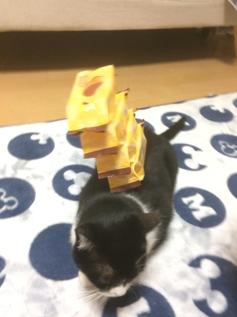 no title