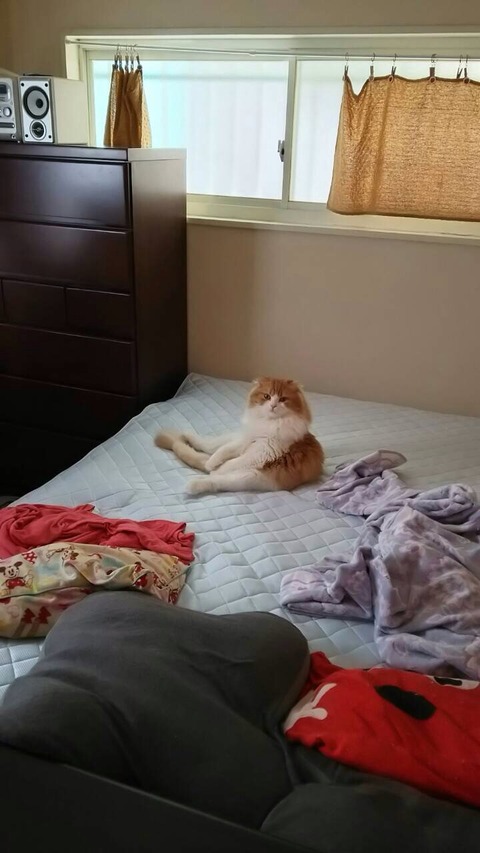 no title