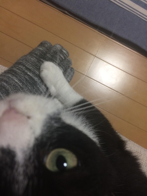no title