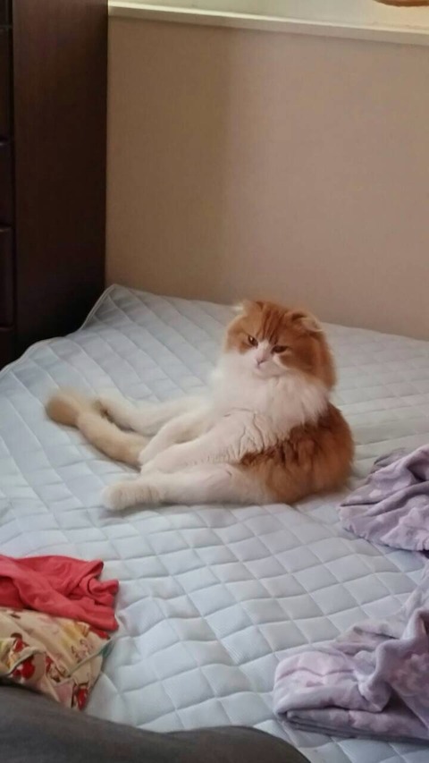 no title