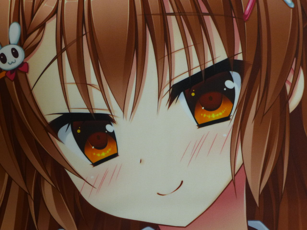 花咲ののか抱き枕 懐居堂雑記