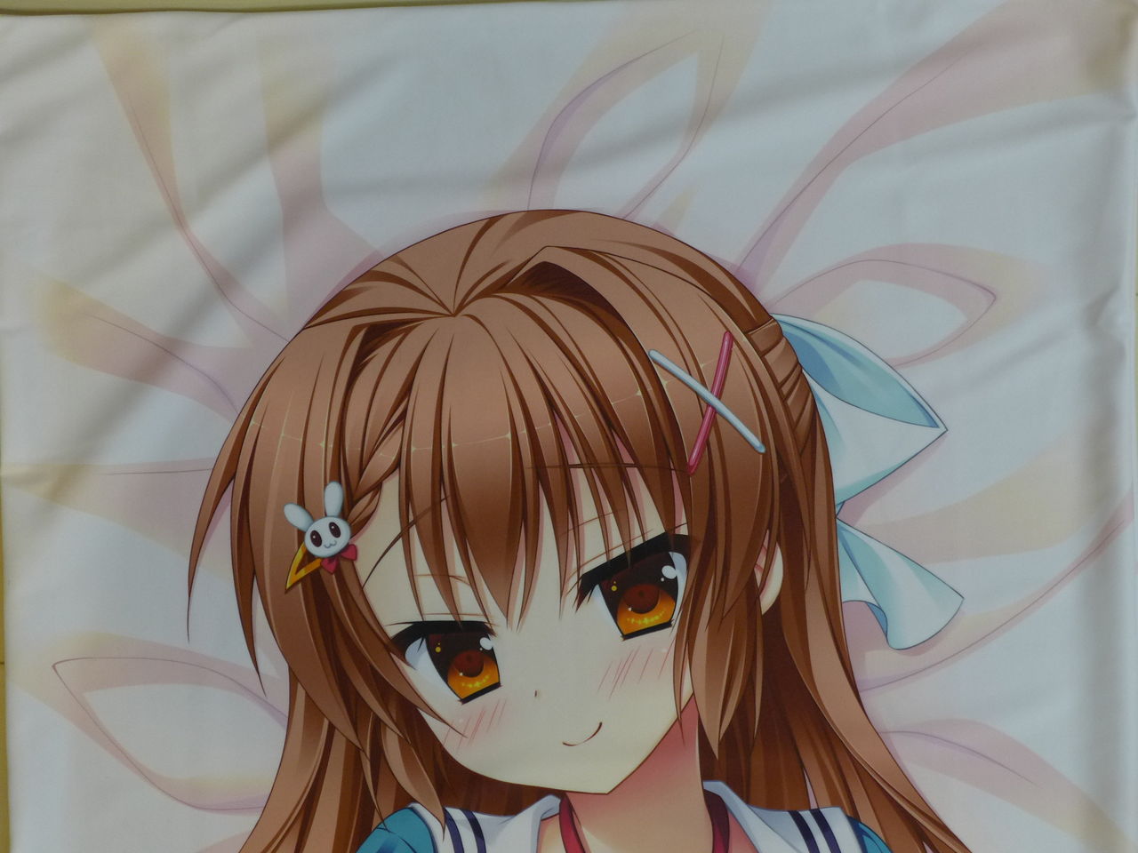 花咲ののか抱き枕 懐居堂雑記