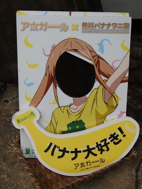 アホだ バナナだ アホガールx熱川バナナワニ園コラボキャンペーン