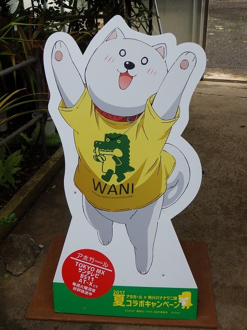 アホだ バナナだ アホガールx熱川バナナワニ園コラボキャンペーン